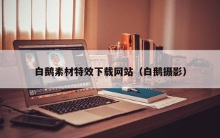 菏泽白鹅素材特效下载网站（白鹅摄影）